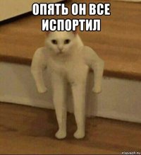 опять он все испортил 