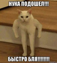 нука подошел!!! быстро бля!!!!!!!!