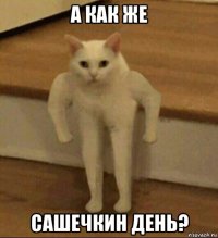 а как же сашечкин день?