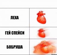 Леха Гей спейси бобруша