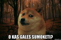  o kas gales sumoketi?