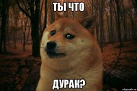 ты что дурак?