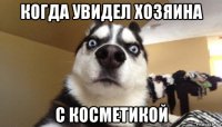 когда увидел хозяина с косметикой