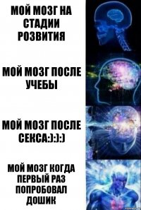 Мой мозг на стадии розвития Мой мозг после учебы Мой мозг после секса:):):) Мой мозг когда первый раз попробовал дошик