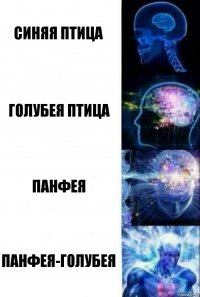 Синяя птица Голубея птица Панфея Панфея-голубея