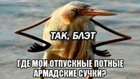  где мои отпускные потные армадские сучки?