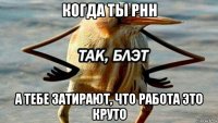 когда ты рнн а тебе затирают, что работа это круто