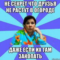 не секрет что друзья не растут в огороде даже если их там закопать