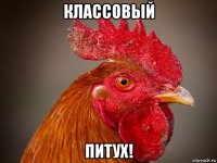 классовый питух!