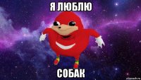 я люблю собак