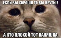 если вы хороши то вы крутые а кто плохой тот какяшка