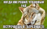 когда уже решил, что новый год встречаешь в "березках"))