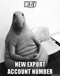 жду new export account number