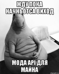 жду пока начньотса виход мода api для майна