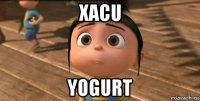 xacu yogurt