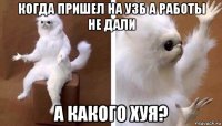 когда пришел на узб а работы не дали а какого хуя?