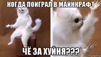 когда поиграл в майнкрафт чё за хуйня???