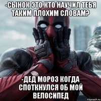 -сынок это кто научил тебя таким плохим словам? -дед мороз когда споткнулся об мой велосипед