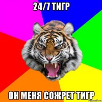 24/7 тигр он меня сожрет тигр