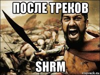 после треков shrm