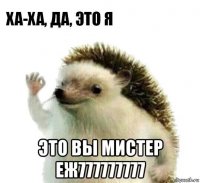  это вы мистер еж777777777