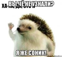 вы чё не узнали? я же соник!