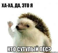  кто сутулый пёс?