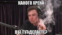 какого хрена вы тут делаете?