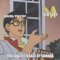 Знаешь что это? Что это? Это уцы охуевает от банана