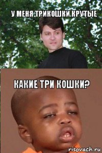 У меня трикошки крутые Какие три кошки?