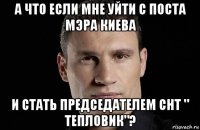 а что если мне уйти с поста мэра киева и стать председателем снт " тепловик"?