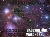 תרגום שאילה תחושת בטן bauchgefühl קרן יער waldhorn