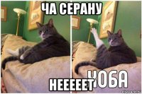 ча серану нееееет