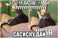 5+5=10.да-зщ-*=х. да мяууууууууууууууу сасиску дай