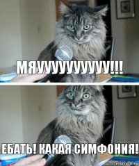 мяуууууууууу!!! ебать! какая симфония!