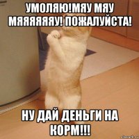 умоляю!мяу мяу мяяяяяяу! пожалуйста! ну дай деньги на корм!!!