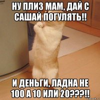 ну плиз мам, дай с сашай погулять!! и деньги, ладна не 100 а 10 или 20???!!