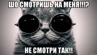 шо смотришь на меня!!!? не смотри так!!