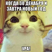 когда 30 декабря и завтра новый год ура!