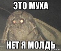 это муха нет я молдь