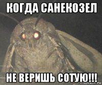 когда санекозел не веришь сотую!!!