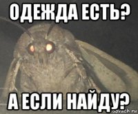 одежда есть? а если найду?