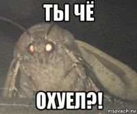 ты чё охуел?!