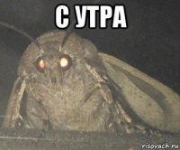 с утра 