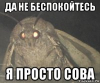 да не беспокойтесь я просто сова