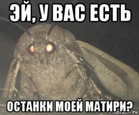 эй, у вас есть останки моей матири?