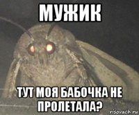 мужик тут моя бабочка не пролетала?