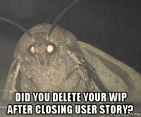  did you delete your wip after closing user story?