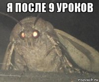 я после 9 уроков 