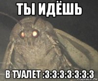 ты идёшь в туалет :3:3:3:3:3:3:3